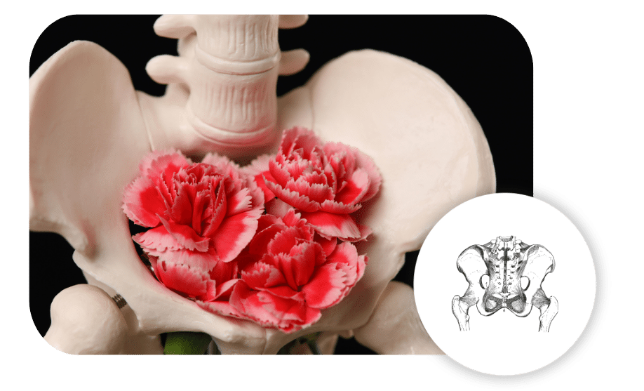 pelvis pain, lower abdomen pain