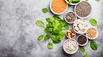 vegetarian protein foods